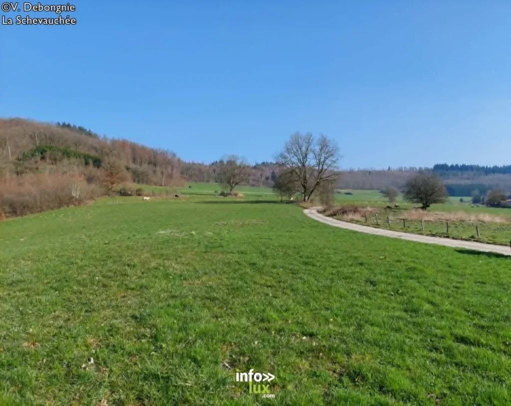 Dohan > Balade Semois fantastique