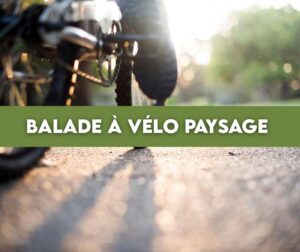 Balade à vélo paysage — Parc Naturel de la Vallée de l'Attert 2026
