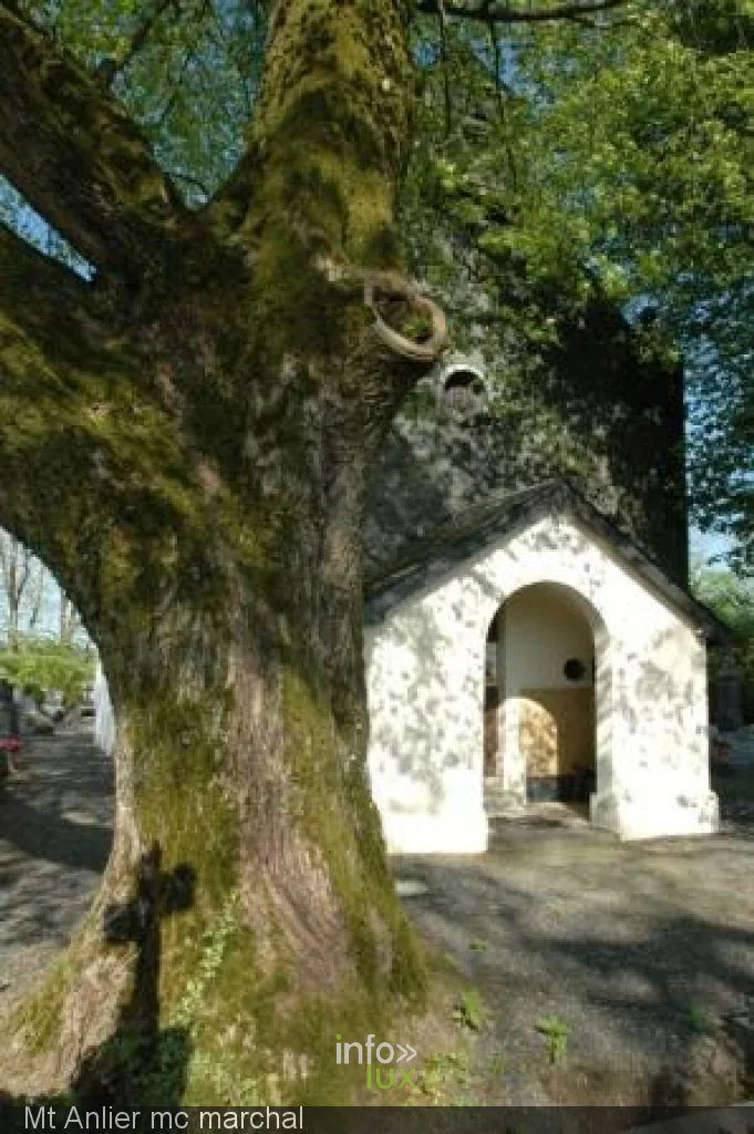 La chapelle de Rulles sous les tilleuls