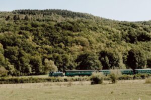 Festival Photos 2026