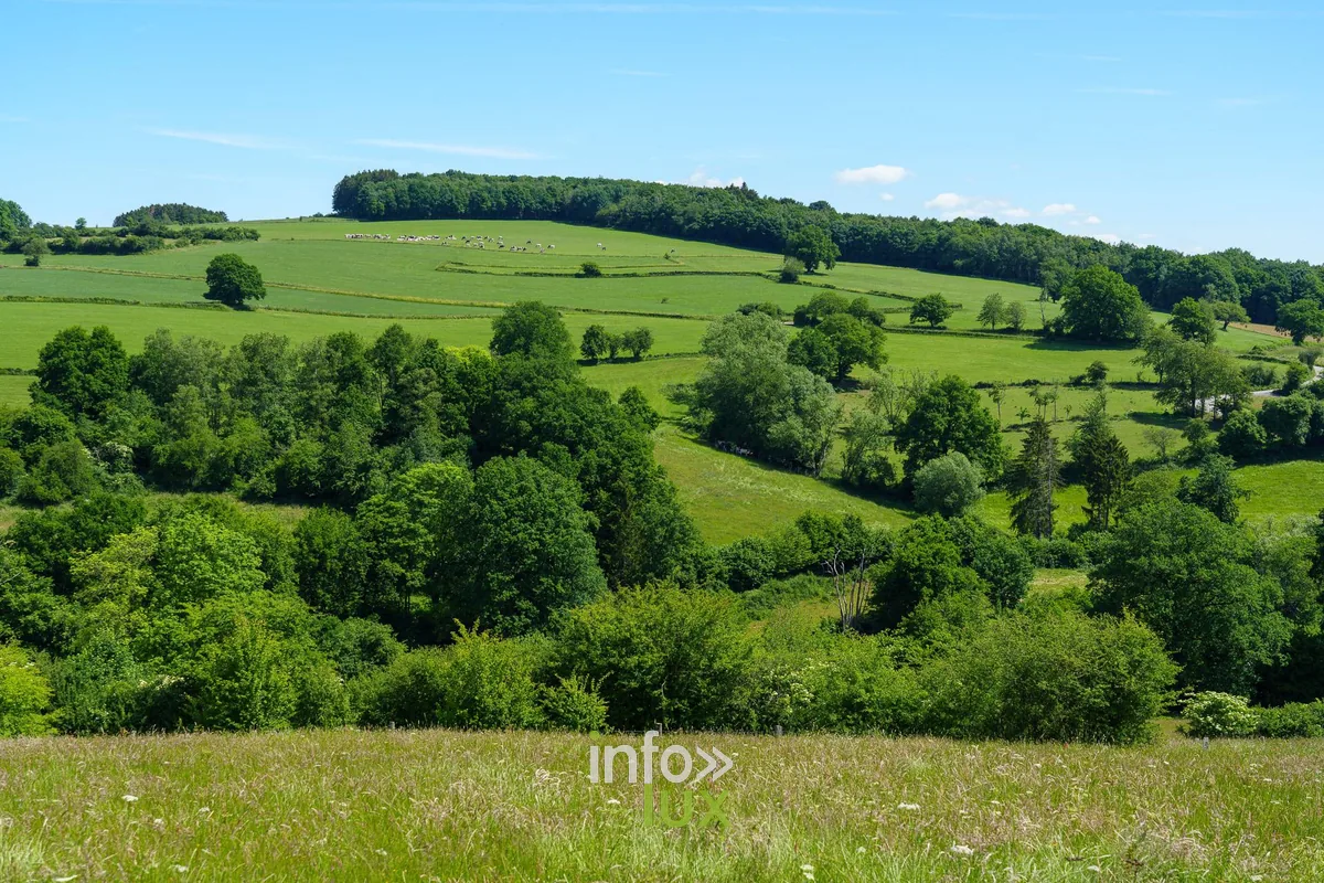 Le village de Fanzel et le Bois Gérard dans le bocage de la Famenne