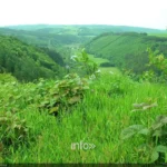 Aire d'envol de parapente au-dessus de la vallée près de La Roche-en-Ardenne