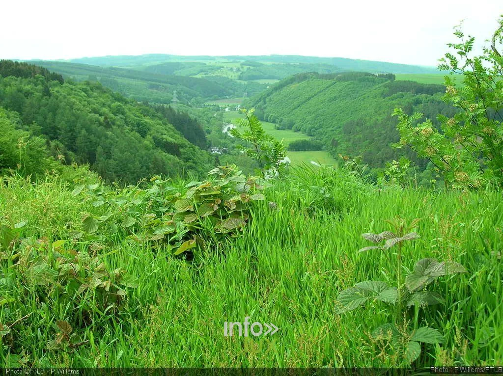 Aire d'envol de parapente au-dessus de la vallée près de La Roche-en-Ardenne