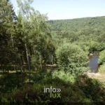 Les méandres boisés de la Semois vus de la Roche Pinco à Chiny