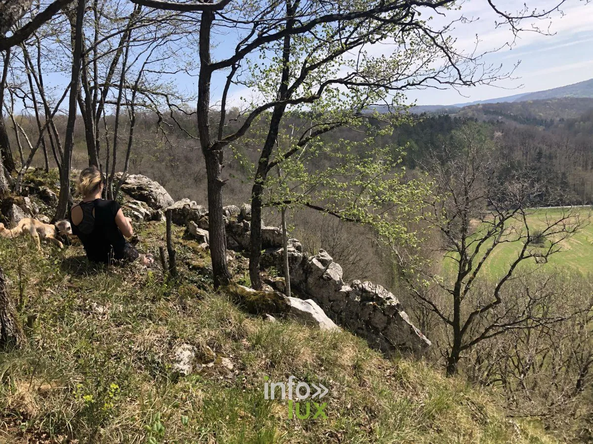 La vallée de l'Aisne depuis les rochers d'Ozo