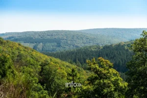Le contrefort de l'Ardenne et la vallée de Wéry depuis le Tienne de Chassepierre