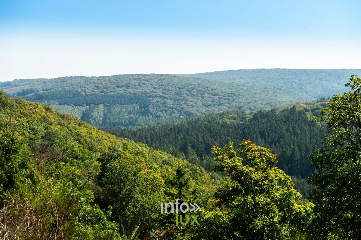 Le contrefort de l'Ardenne et la vallée de Wéry depuis le Tienne de Chassepierre