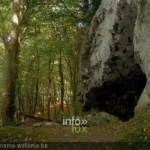 La vallée de l'Ourthe près du Trou des Nutons, à Houffalize