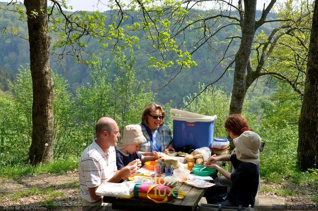 Panorama sur les forêts de l'Ardenne luxembourgeoise