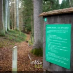 Arboretum du Fourneau Saint-Michel à Nassogne, province de Luxembourg