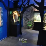 Visite guidée Piconrue - Musée de la Grande Ardenne à Bastogne, province de Luxembourg